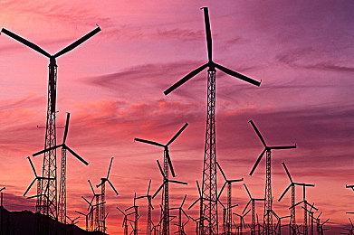 韩国麦当劳暂时停止销售炸薯条：内部供应链出问题